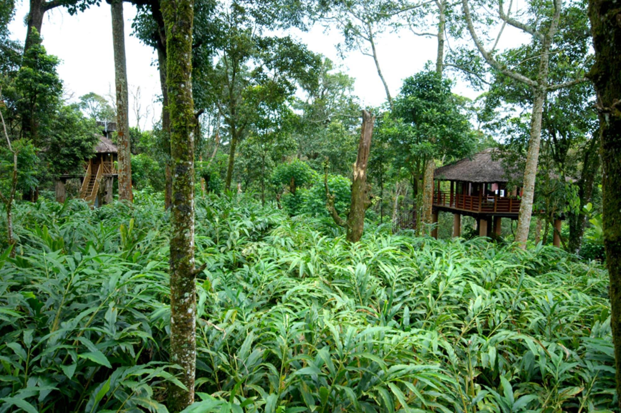 Carmelia Haven Resort Thekkady Esterno foto