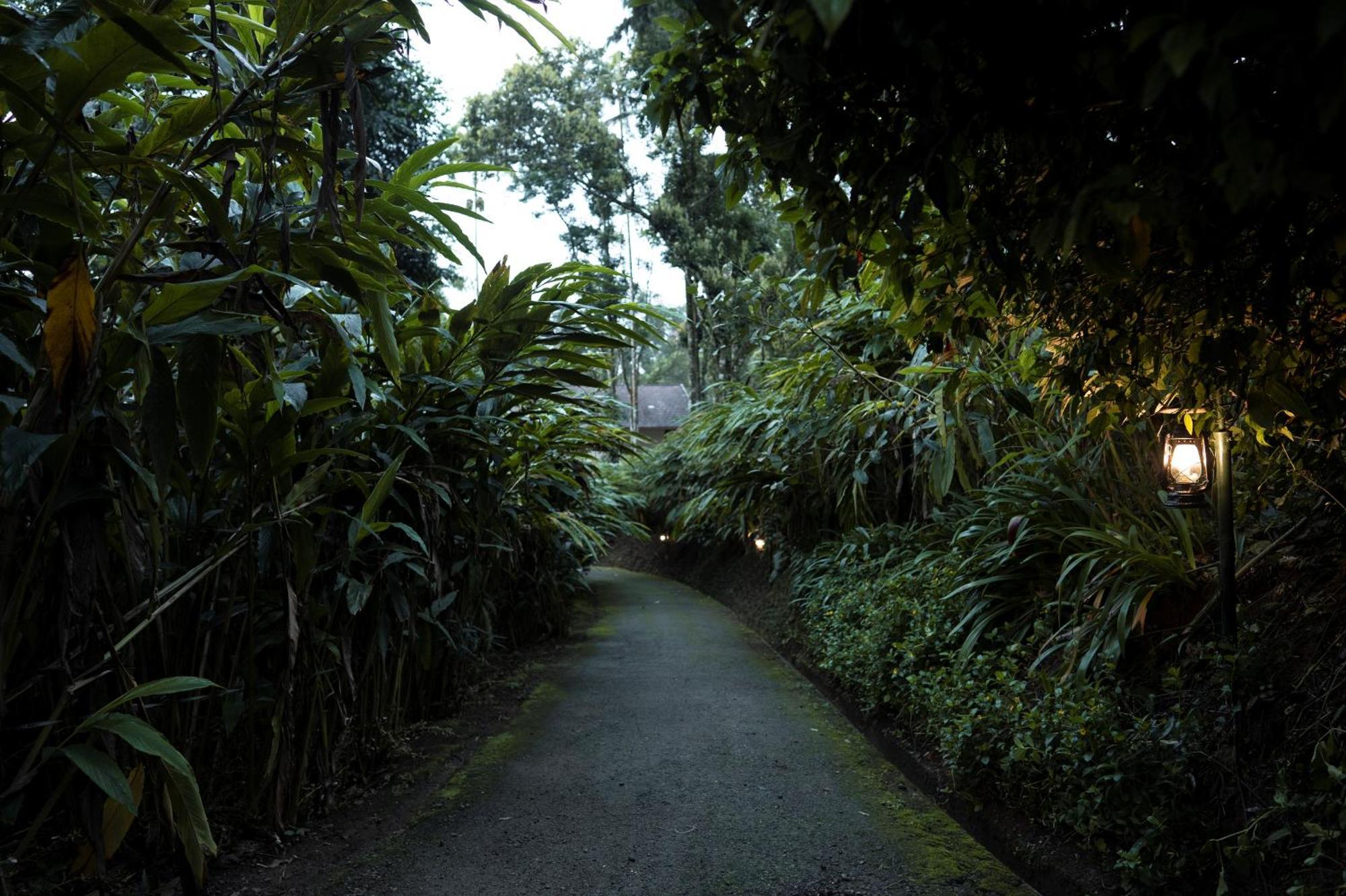 Carmelia Haven Resort Thekkady Esterno foto