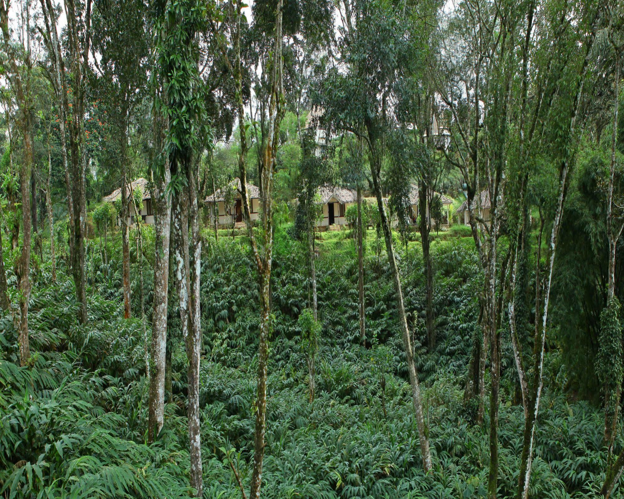 Carmelia Haven Resort Thekkady Esterno foto